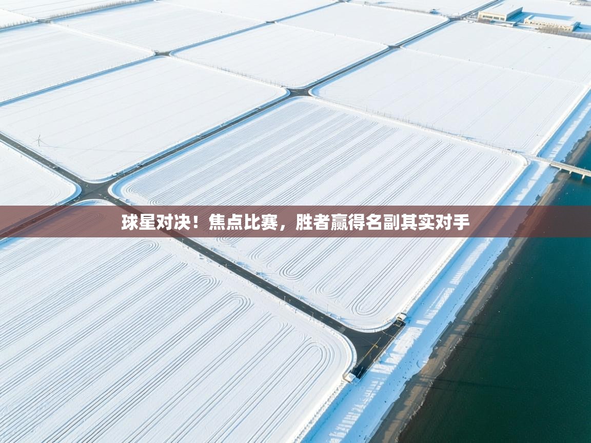 开云体育下载-球星对决!焦点比赛,胜者赢得名副其实对手 第2张