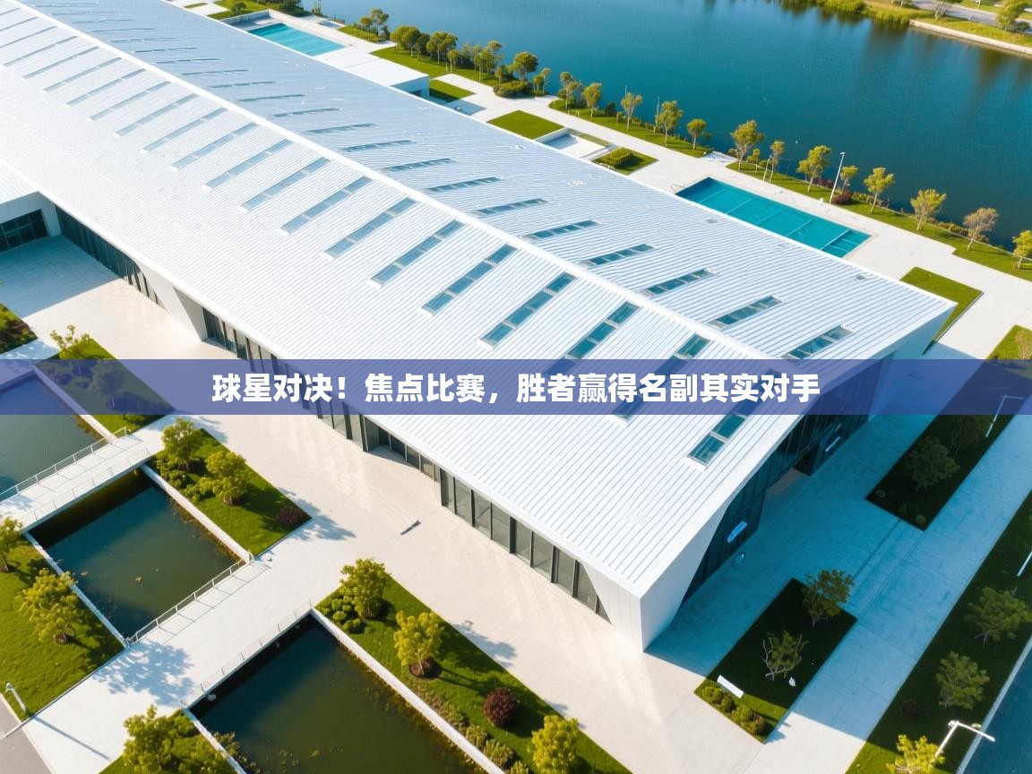 开云体育下载-球星对决!焦点比赛,胜者赢得名副其实对手 第4张
