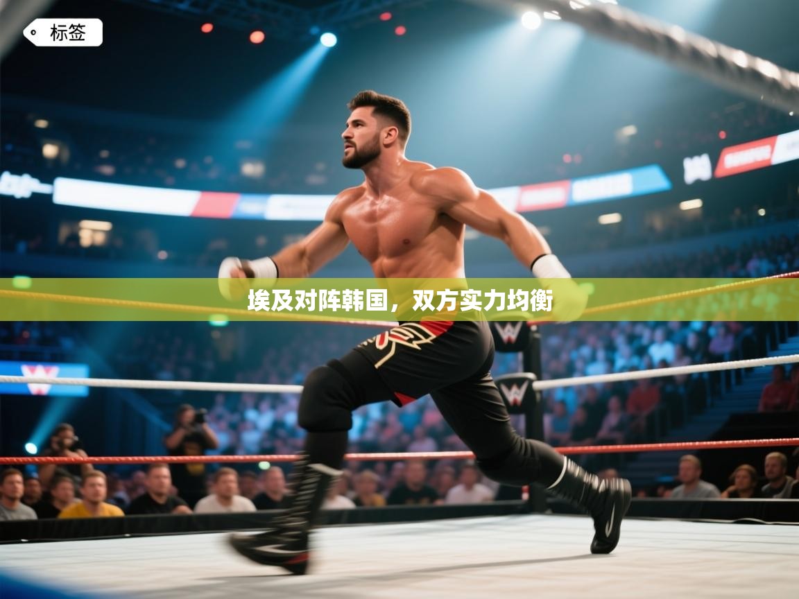 开云体育在线下载-埃及对阵韩国,双方实力均衡 第1张