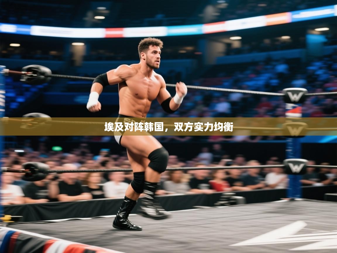 开云体育在线下载-埃及对阵韩国,双方实力均衡 第4张