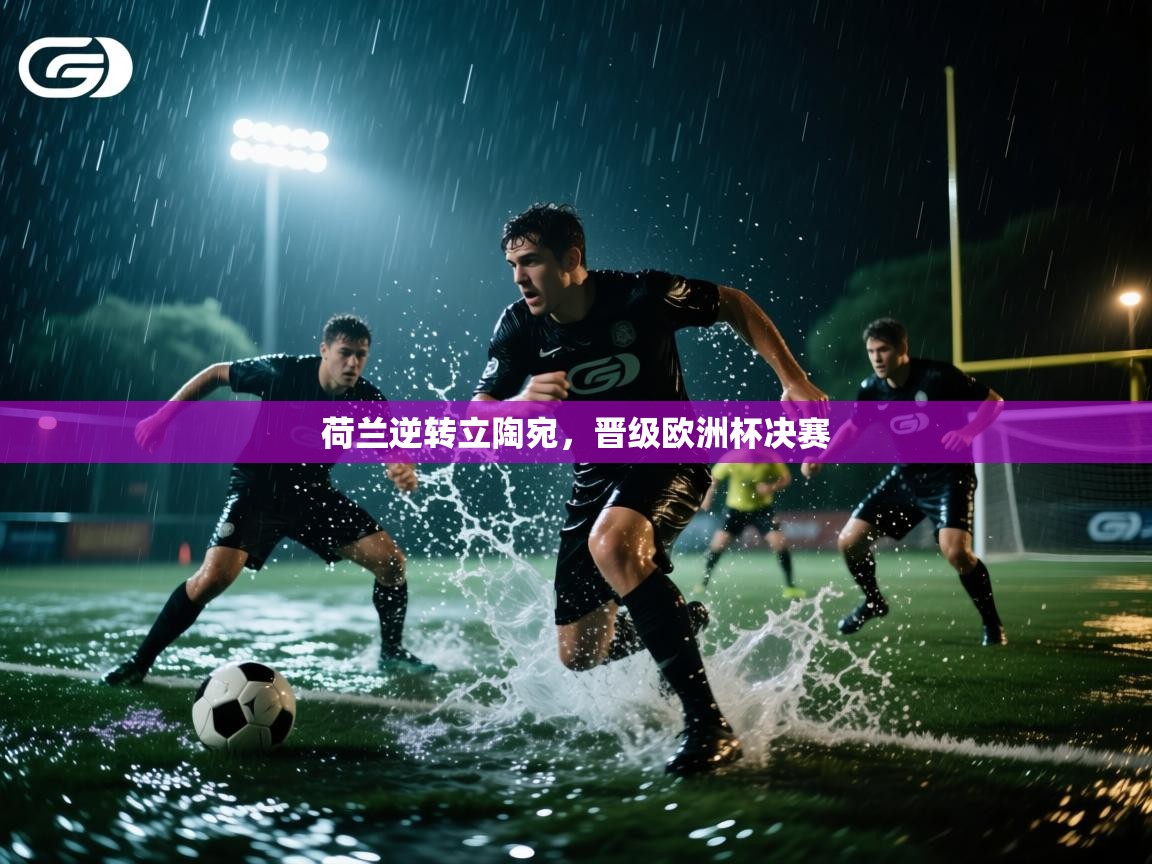 开云赛事-荷兰逆转立陶宛，晋级欧洲杯决赛