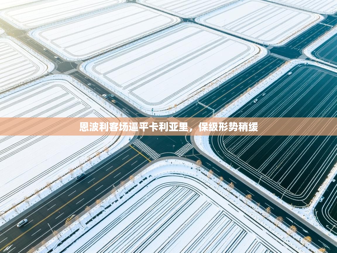 开云体育夜间模式开启-恩波利客场逼平卡利亚里,保级形势稍缓 第2张