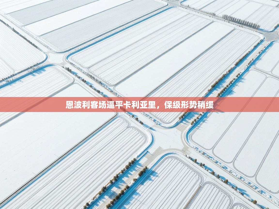 开云体育夜间模式开启-恩波利客场逼平卡利亚里,保级形势稍缓 第4张