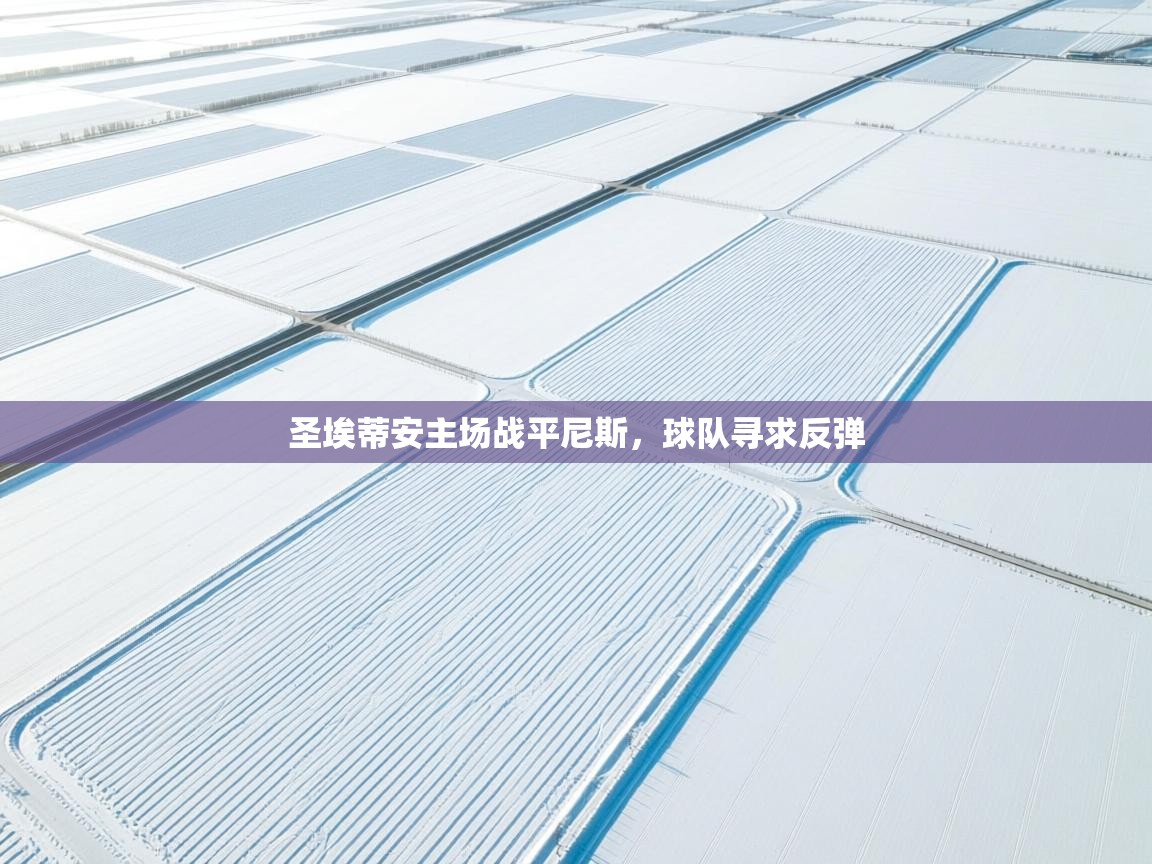 开云kaiyun体育app入口下载官网-圣埃蒂安主场战平尼斯,球队寻求反弹 第4张