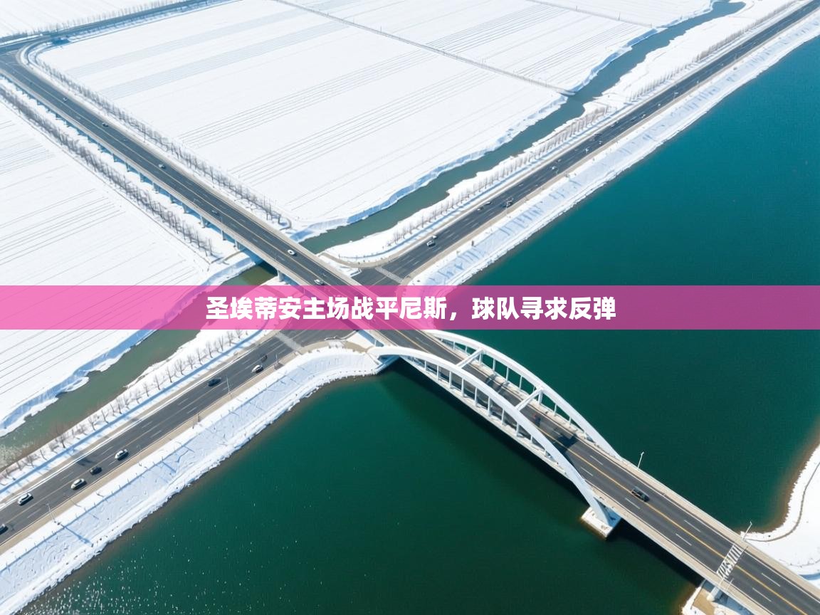 开云kaiyun体育app入口下载官网-圣埃蒂安主场战平尼斯,球队寻求反弹 第3张