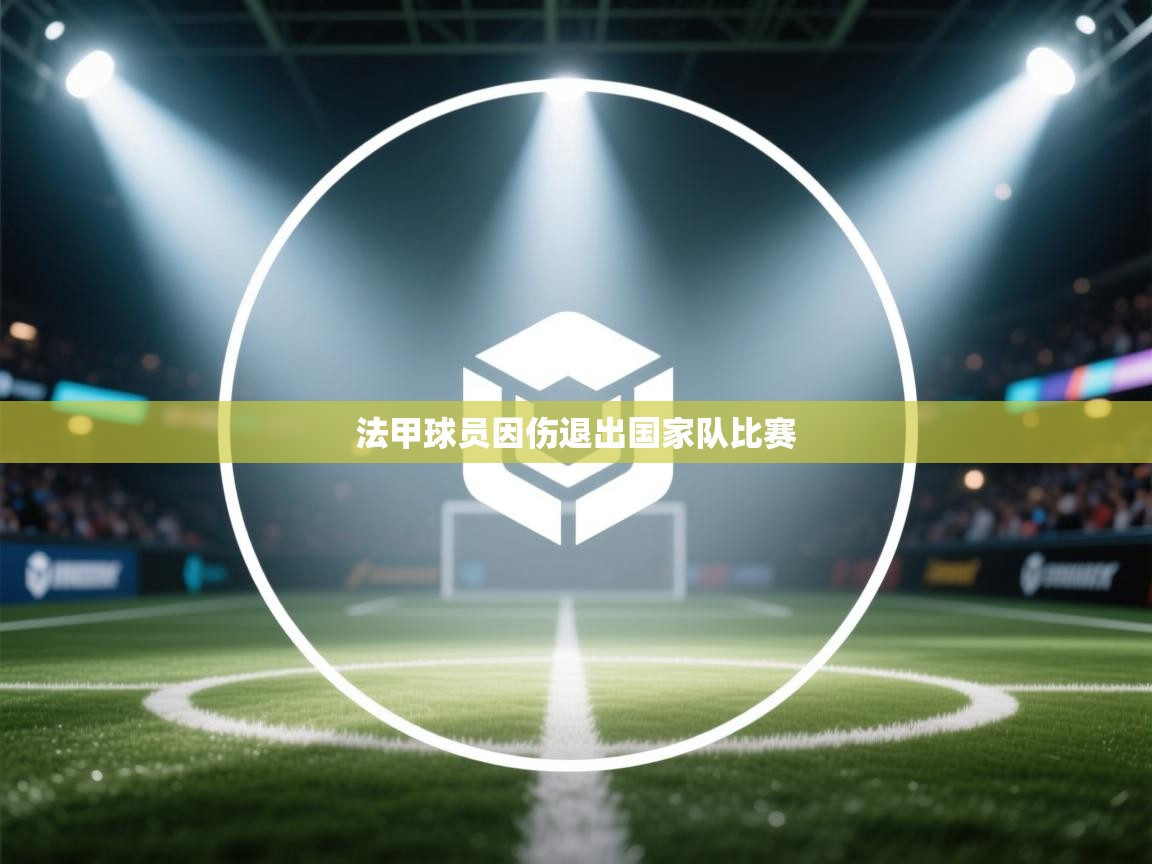 -法甲球员因伤退出国家队比赛  第2张
