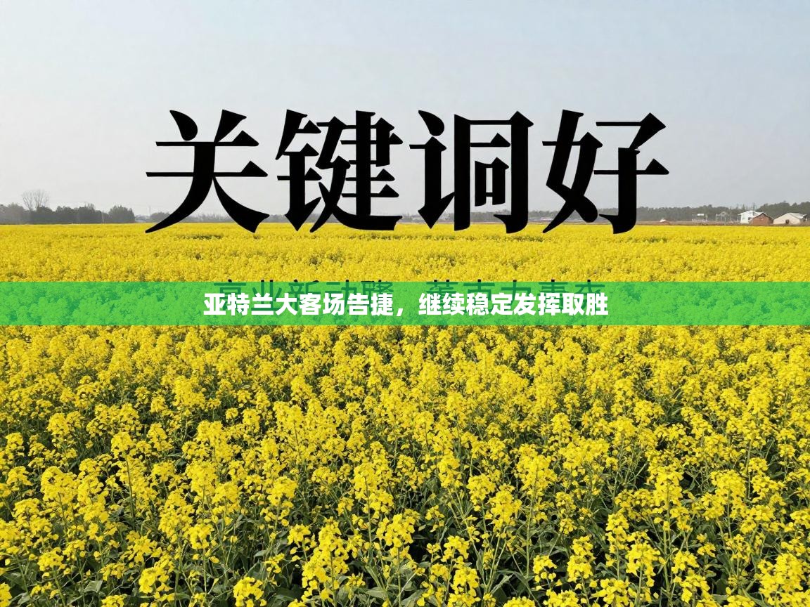 云开体育app官网登录入口-亚特兰大客场告捷，继续稳定发挥取胜  第2张