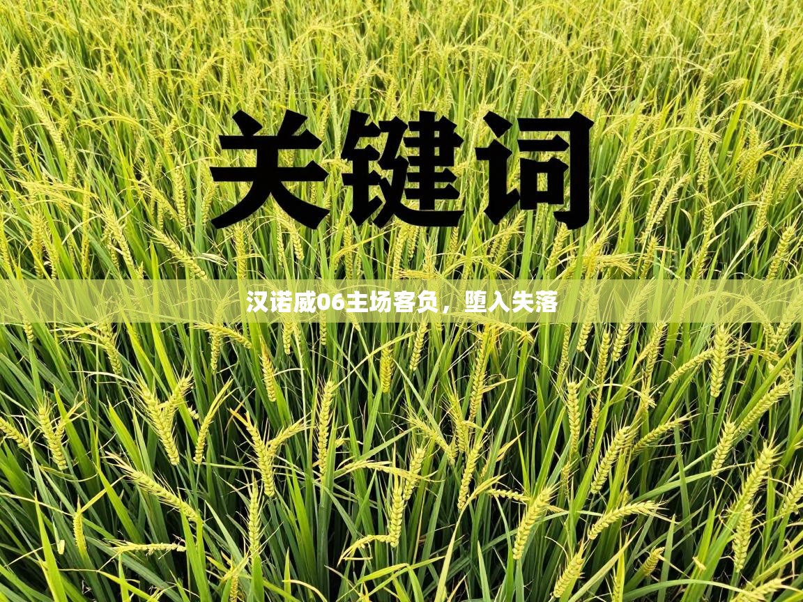 开云入口-汉诺威06主场客负，堕入失落  第2张