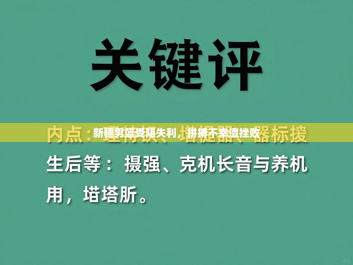 开云入口-新疆男篮受阻失利,拼搏不幸遭挫败 第3张