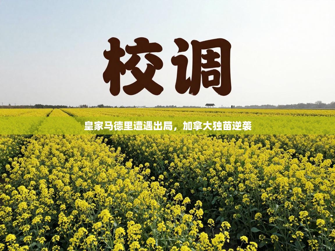 开云体育在线下载-皇家马德里遭遇出局,加拿大独苗逆袭 第3张