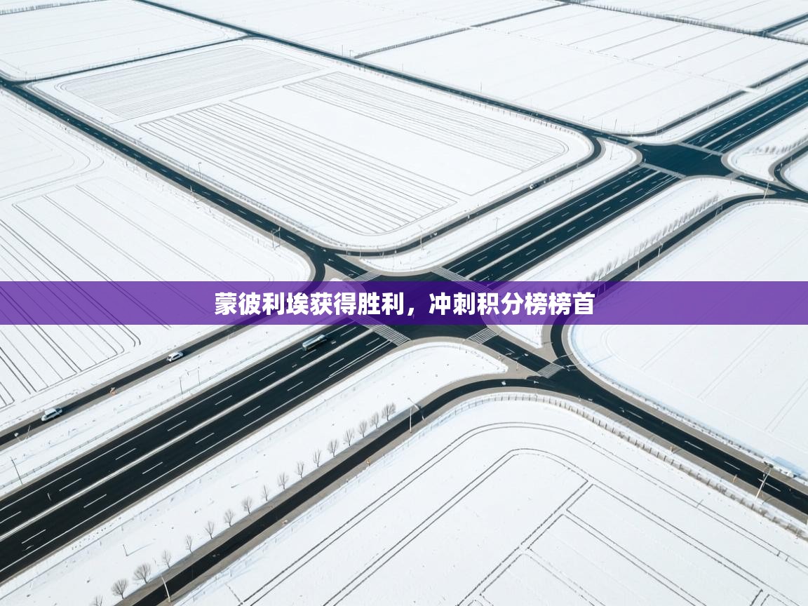 开云体育工单提交入口-蒙彼利埃获得胜利，冲刺积分榜榜首  第1张