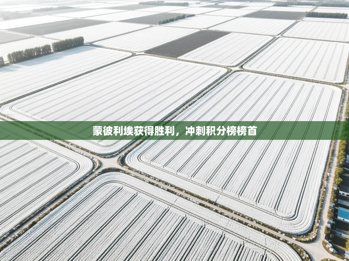 开云体育工单提交入口-蒙彼利埃获得胜利，冲刺积分榜榜首  第3张