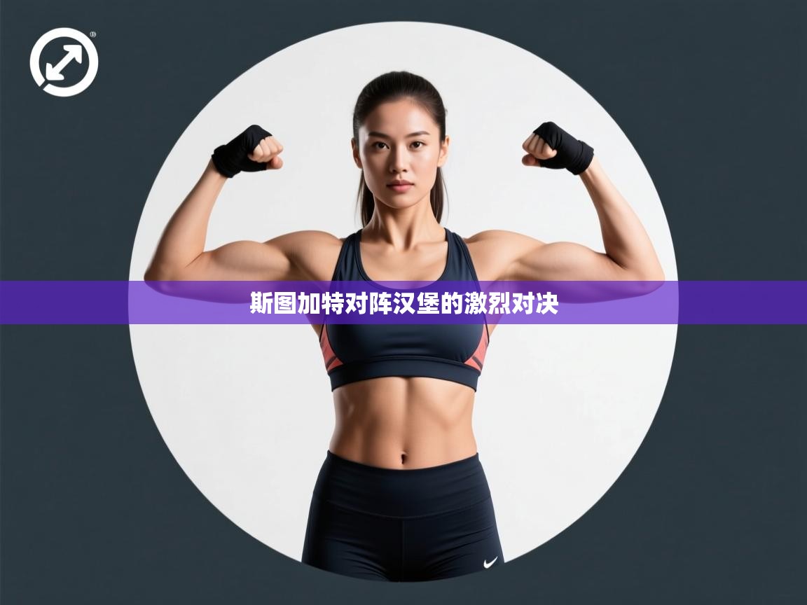 -斯图加特对阵汉堡的激烈对决  第1张