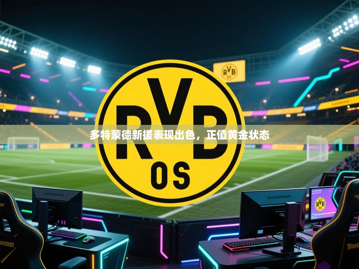 -多特蒙德新援表现出色，正值黄金状态  第4张