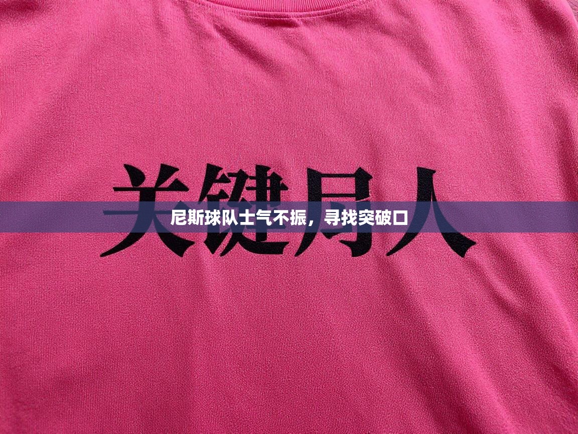 云开体育官网入口-尼斯球队士气不振,寻找突破口 第4张