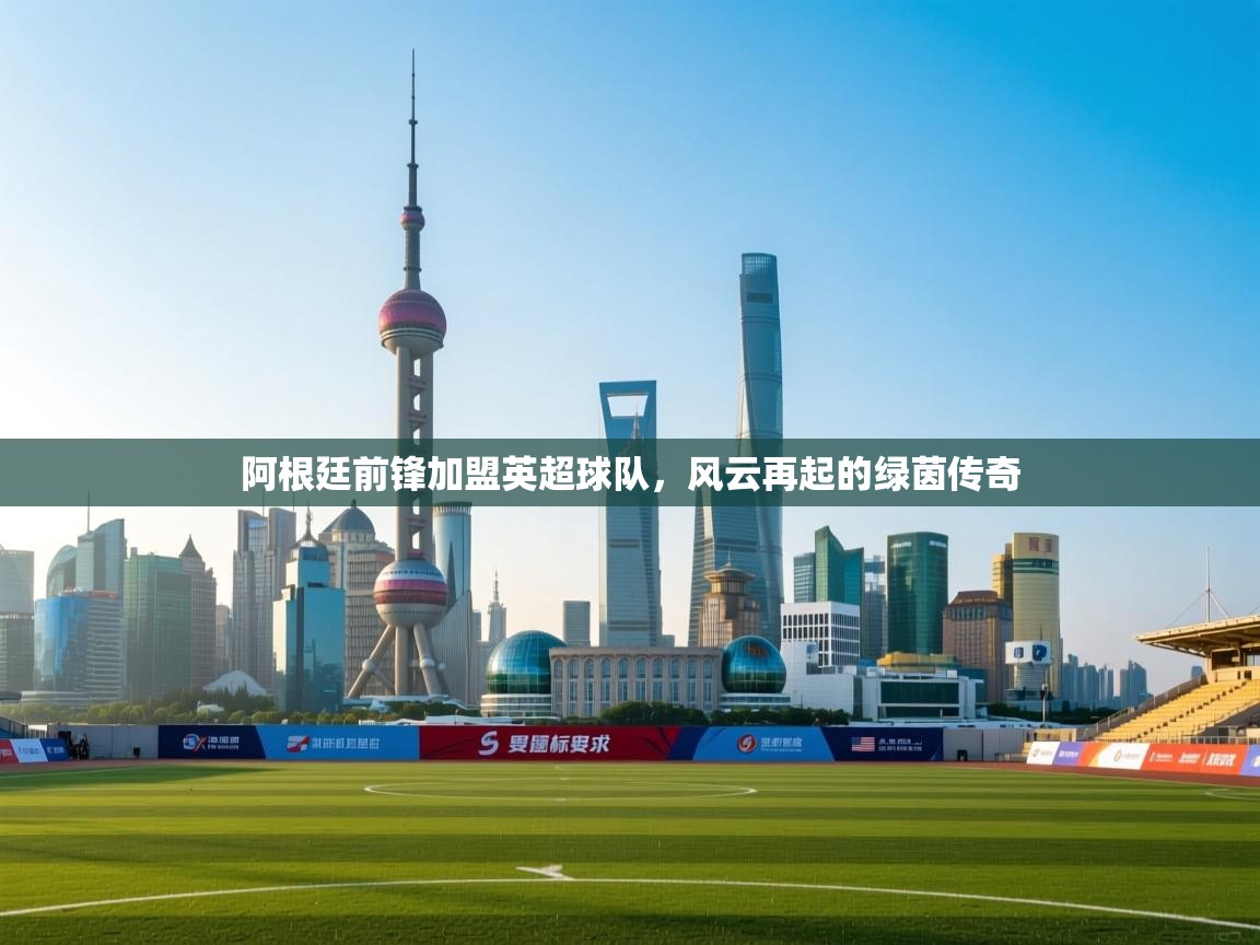 开云体育app下载-阿根廷前锋加盟英超球队,风云再起的绿茵传奇 第3张