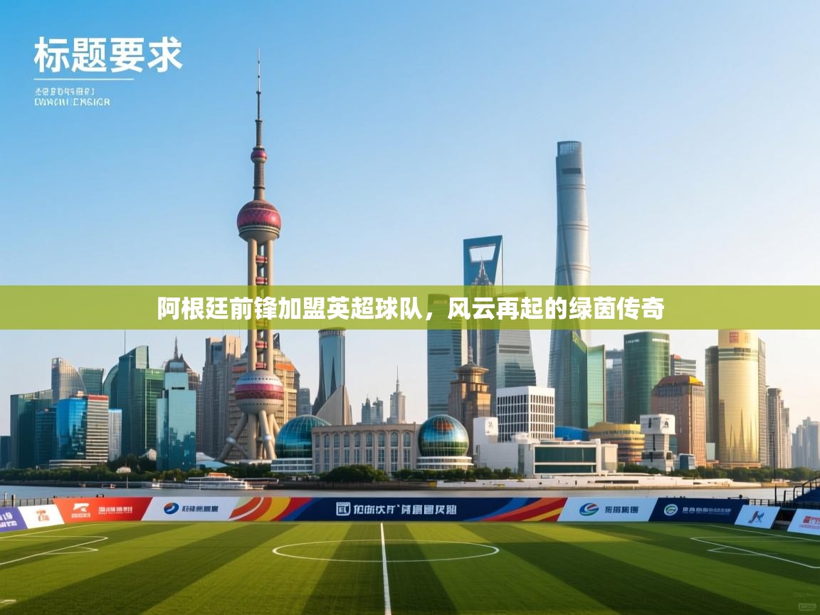 开云体育app下载-阿根廷前锋加盟英超球队,风云再起的绿茵传奇 第4张