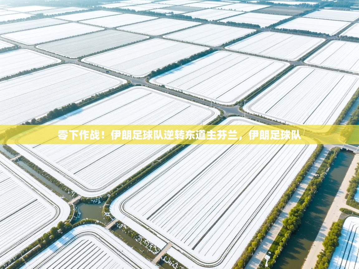 开云体育入口-零下作战!伊朗足球队逆转东道主芬兰,伊朗足球队 第2张