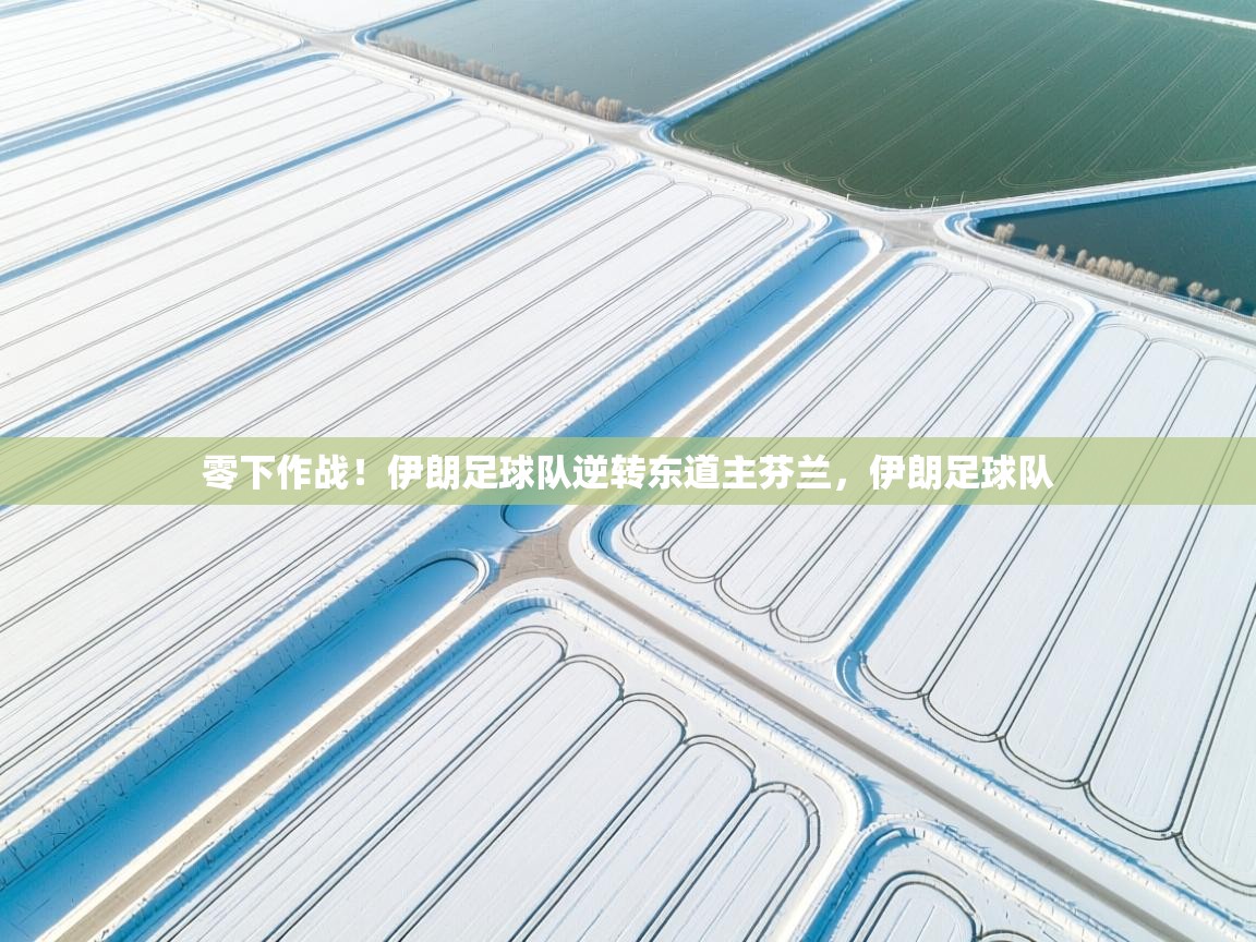 开云体育入口-零下作战!伊朗足球队逆转东道主芬兰,伊朗足球队 第4张